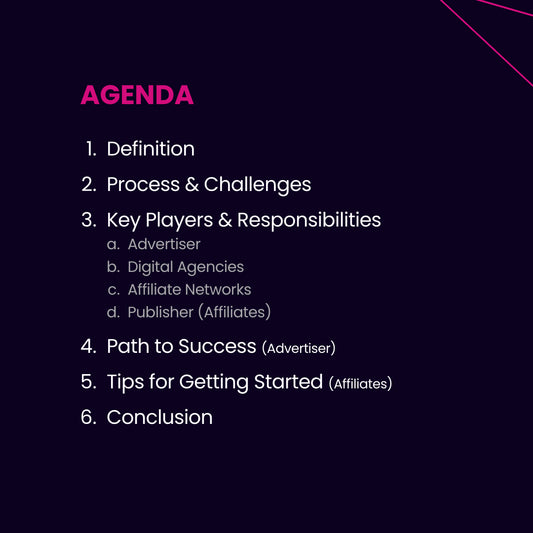 Affiliate Marketing 2025 e-paper content