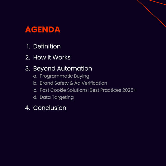 Programmatic Advertising 2025 e-paper content