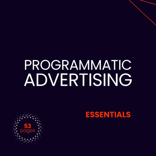 Programmatic Advertising 2025 e-paper cover