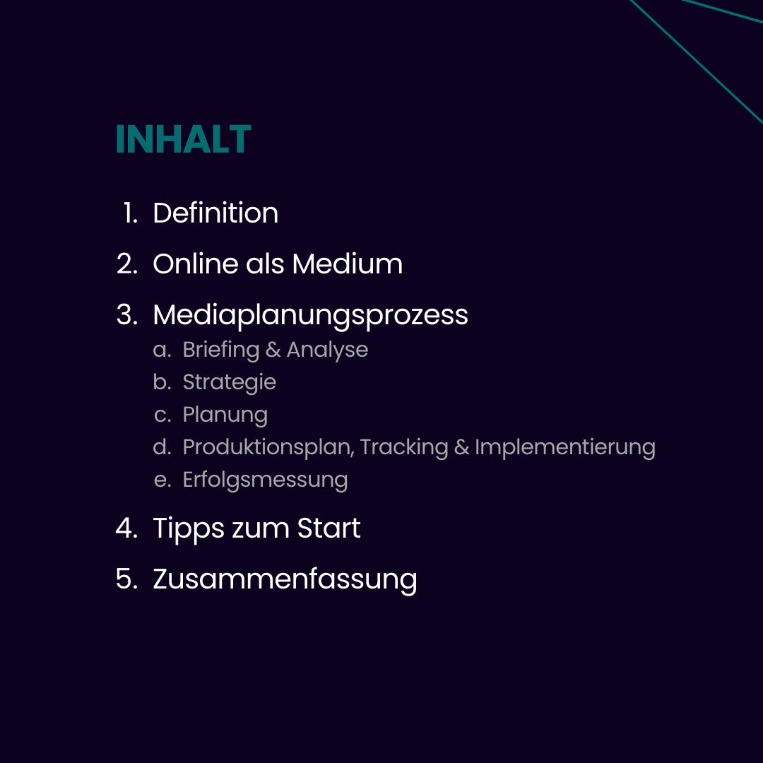 Digital Media Planning 2025 DE e-paper Inhalt