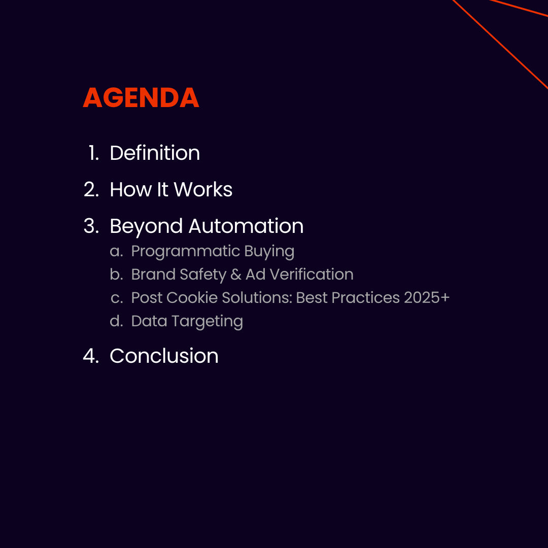 Programmatic Advertising 2025 e-paper content