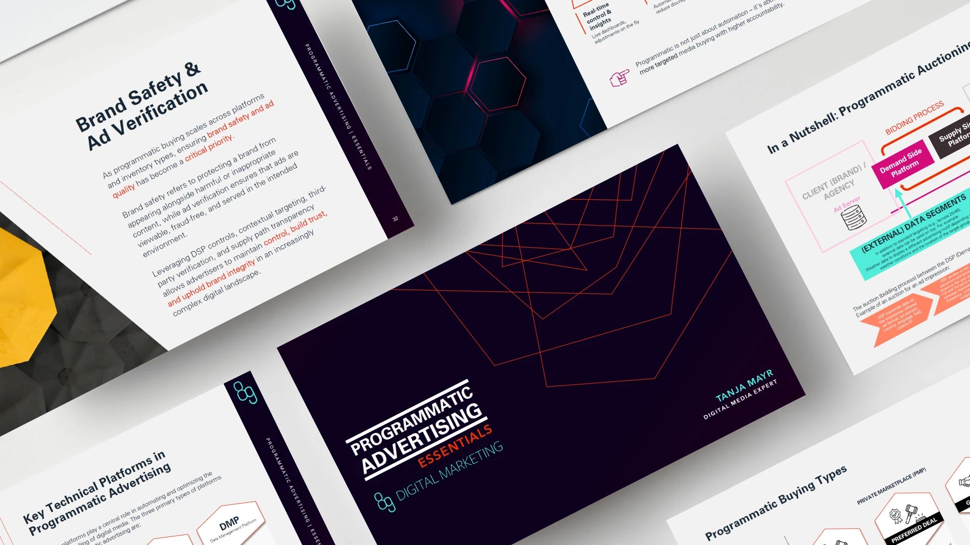 Programmatic Advertising 2025 e-paper preview