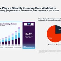 Programmatic Advertising 2025 e-paper preview_page3