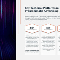 Programmatic Advertising 2025 e-paper preview_page7
